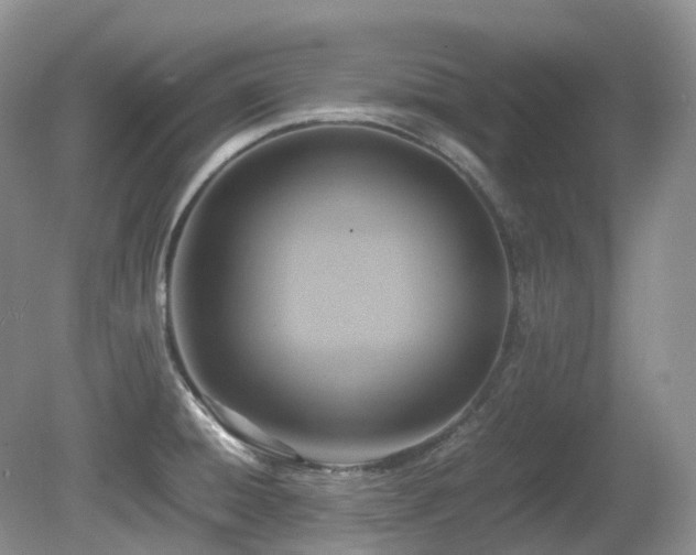 X0000081591428200701151257
