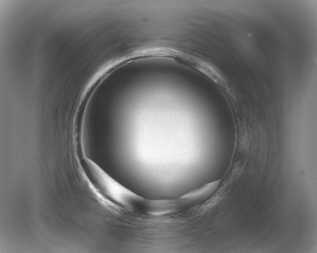 X0000081591430200701151257
