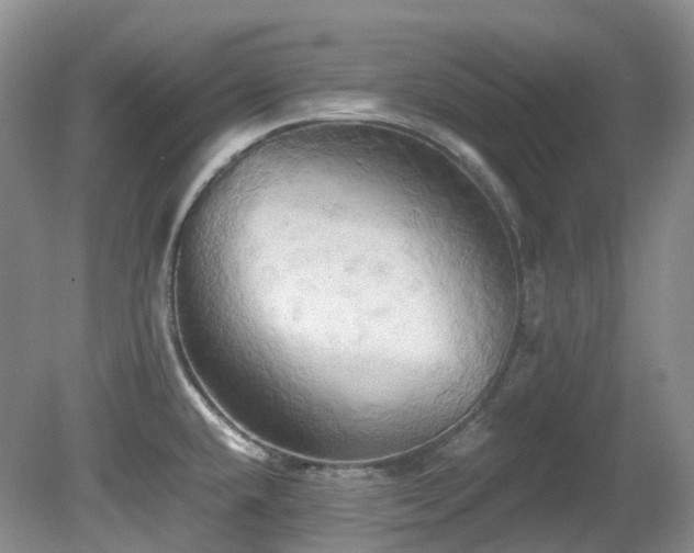 X0000081591432200701151257