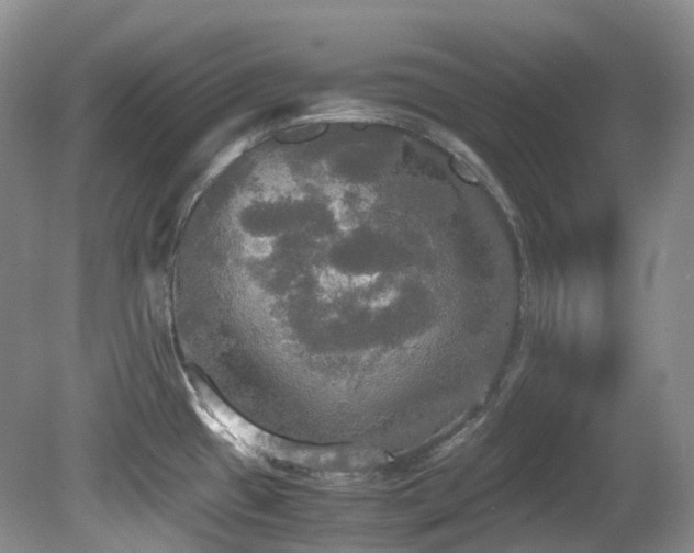 X0000081591433200701151257