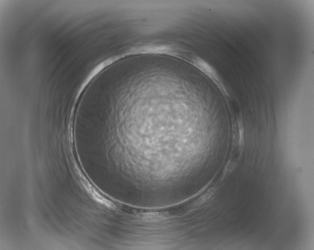 X0000081591436200701151257