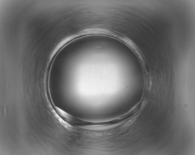 X0000081591438200701151257