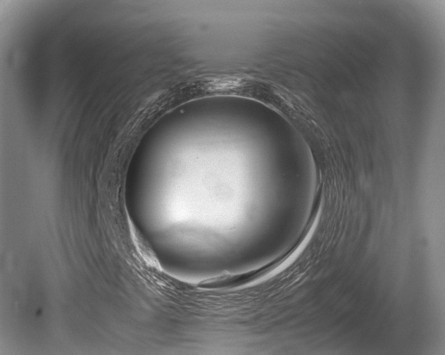 X0000081591441200701151257
