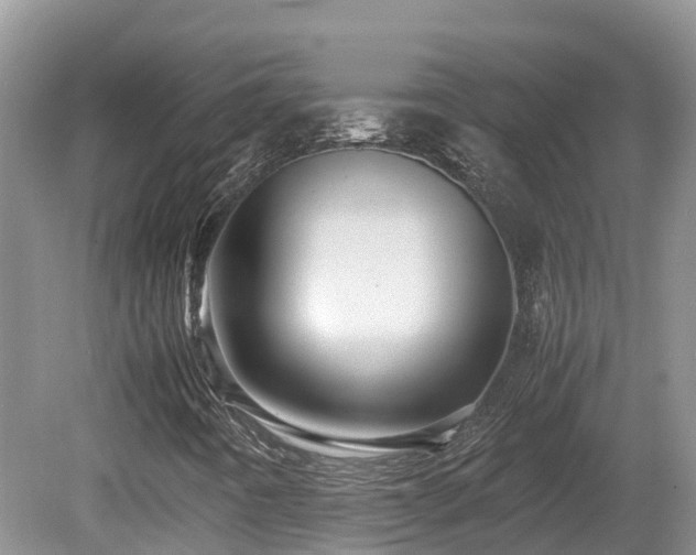 X0000081591442200701151257