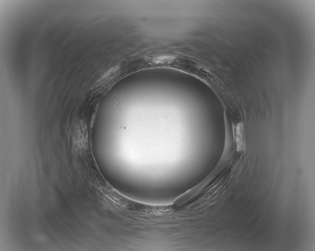 X0000081591443200701151257
