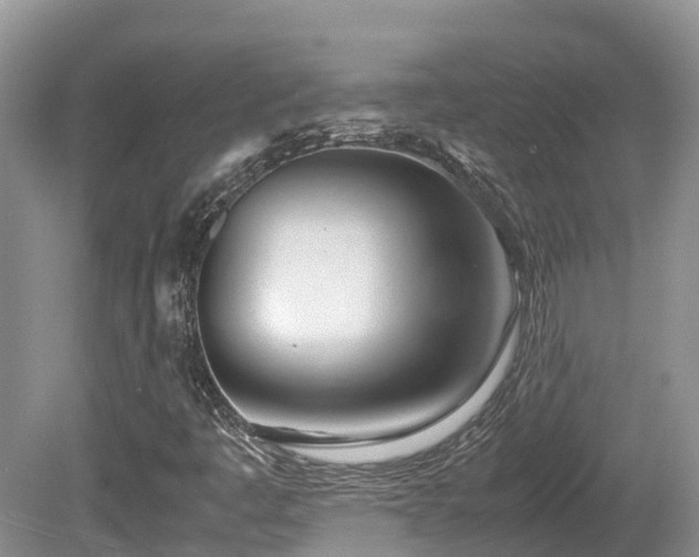 X0000081591445200701151257