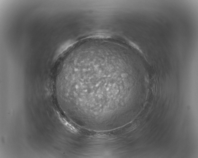 X0000081591448200701151257