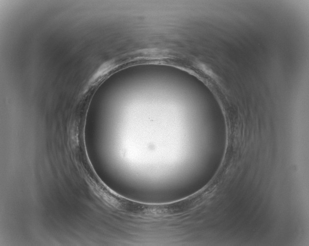 X0000081591451200701151257