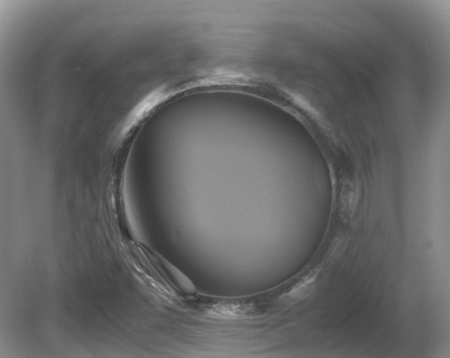 X0000081591455200701151256