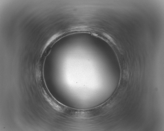 X0000081591458200701151256