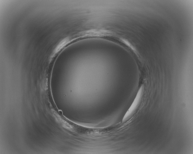 X0000081591459200701151256
