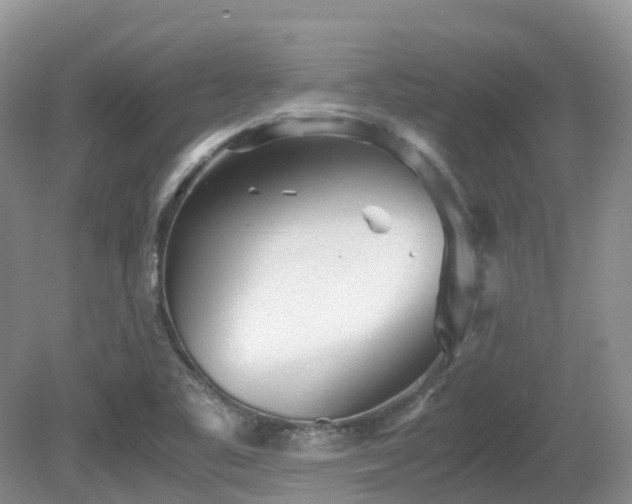 X0000081591461200701151256