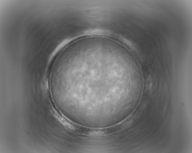 X0000081591462200701151256