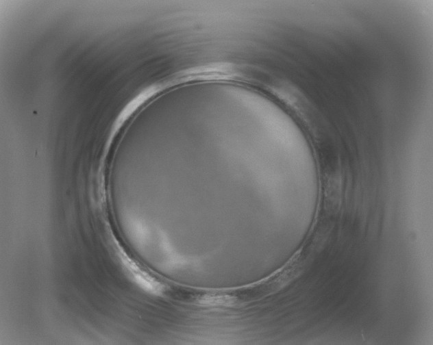 X0000081591466200701151256