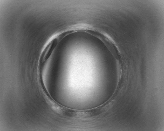 X0000081591469200701151256