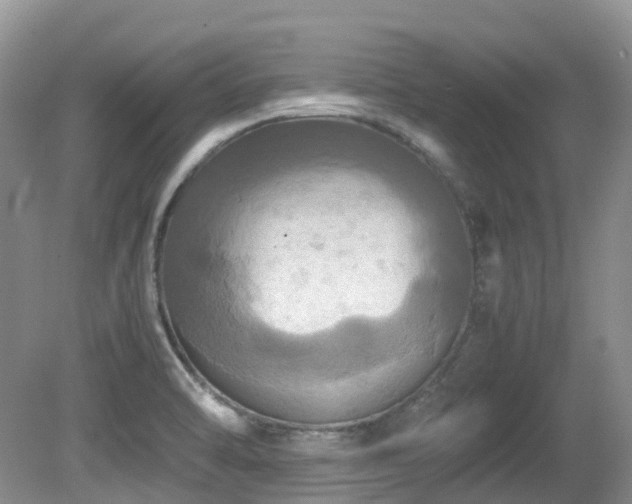 X0000081591470200701151256