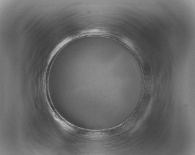 X0000081591474200701151256