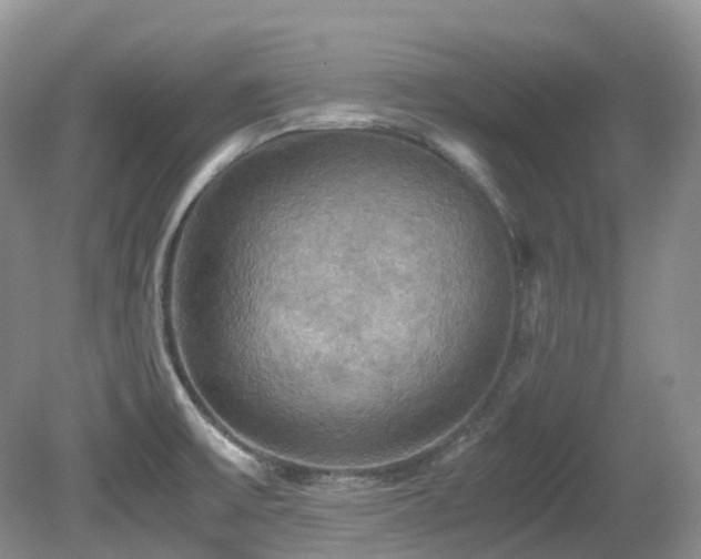 X0000081591475200701151256