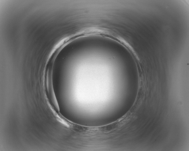 X0000081591477200701151256