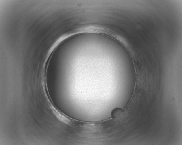 X0000081591478200701151256