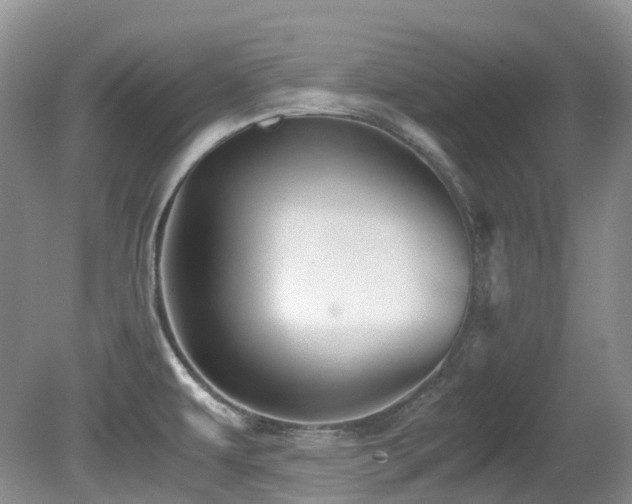 X0000081591479200701151256