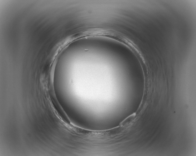 X0000081591481200701151256