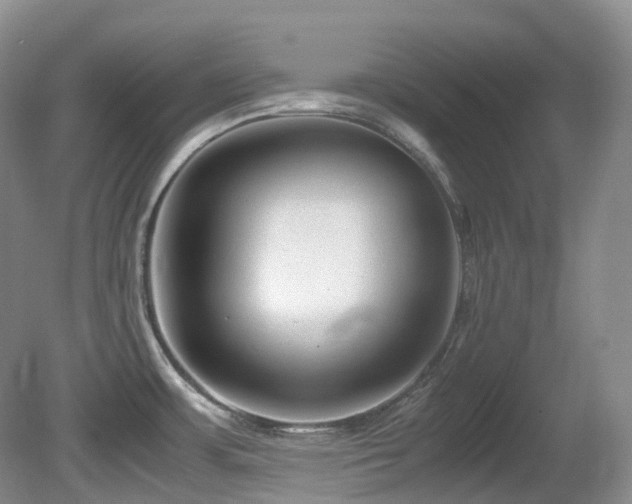 X0000081591483200701151256