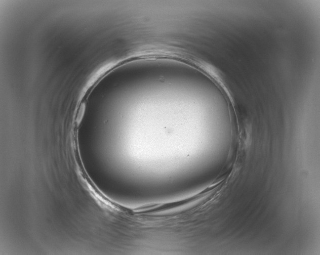 X0000081591485200701151256