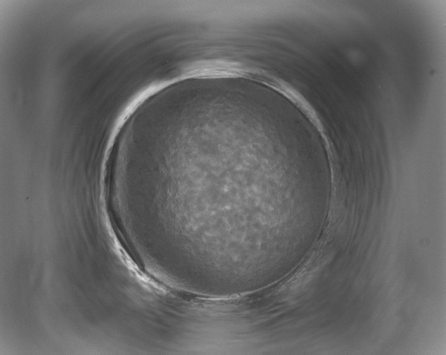 X0000081591488200701151256