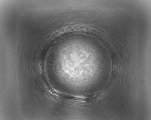 X0000081591490200701151255