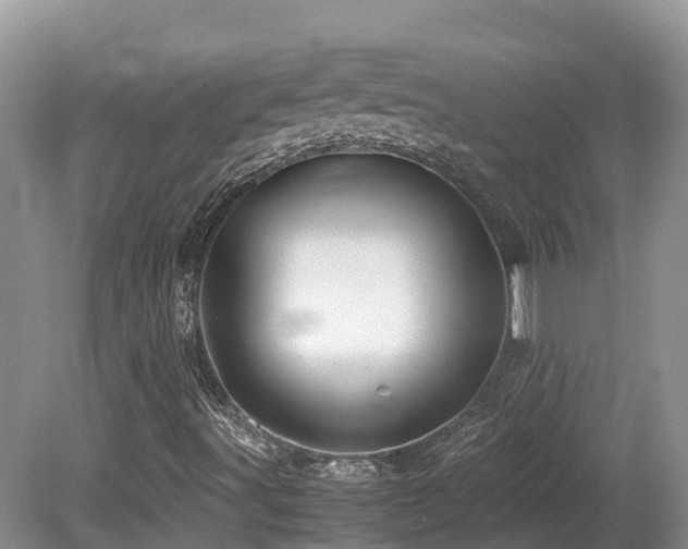 X0000081591491200701151255