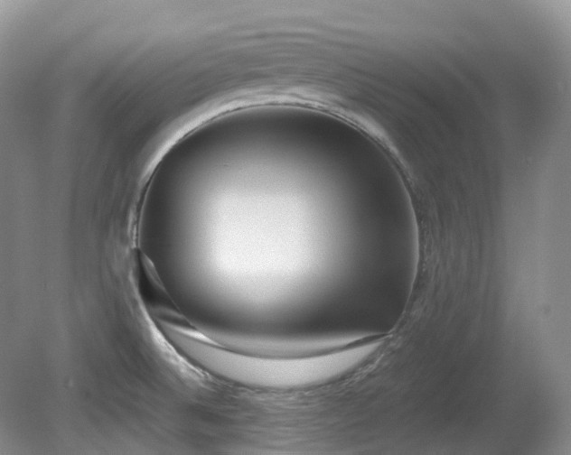 X0000081591524200701151256