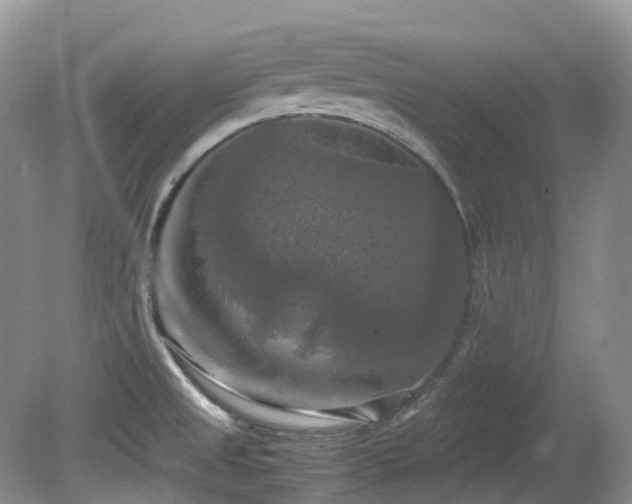 X0000081591525200701151256