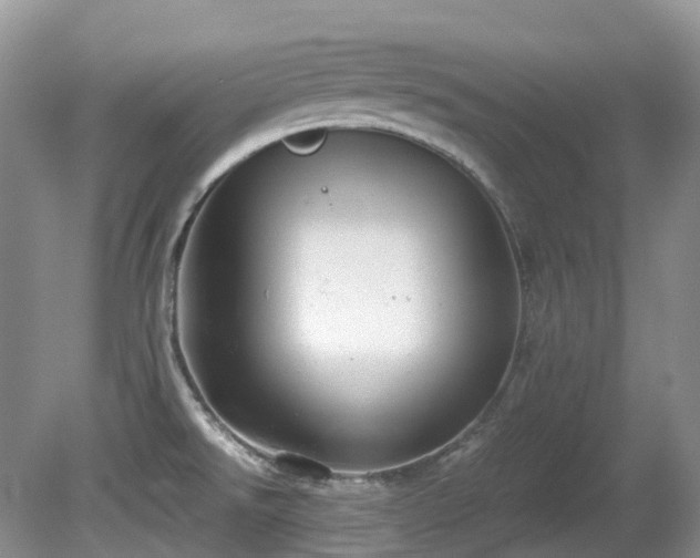 X0000081591526200701151256