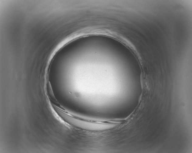 X0000081591528200701151256
