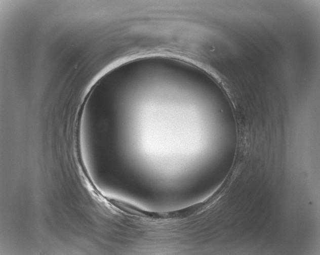 X0000081591534200701151256