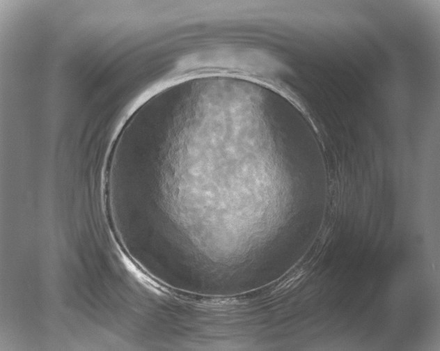 X0000081591535200701151256