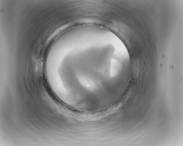 X0000081590016200701221104