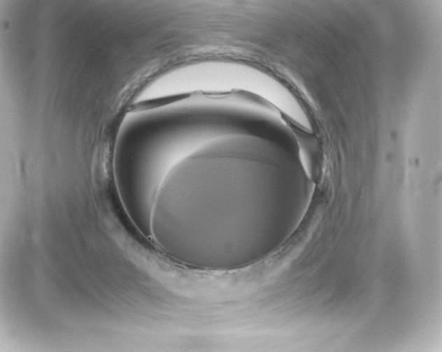 X0000081590023200701221104