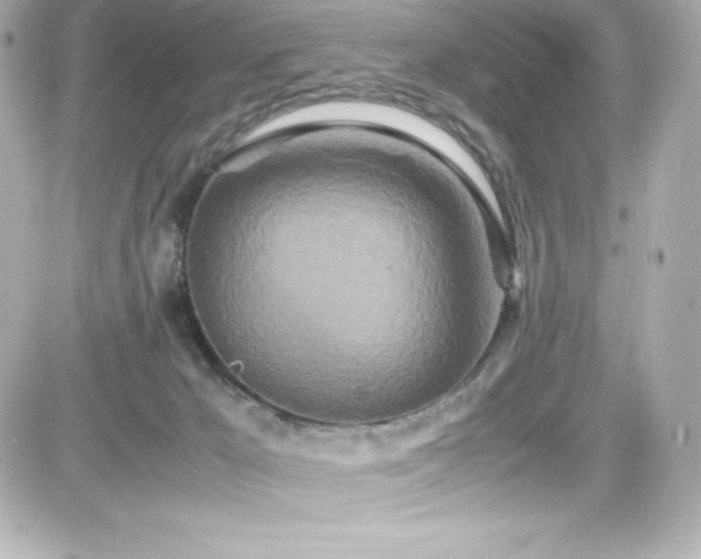 X0000081590029200701221104