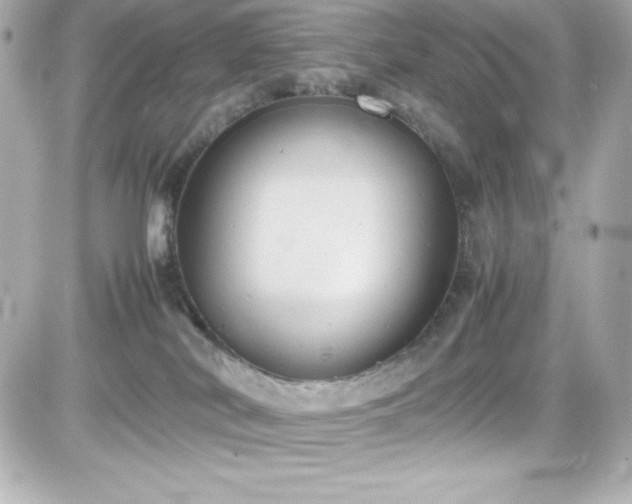 X0000081590038200701221104