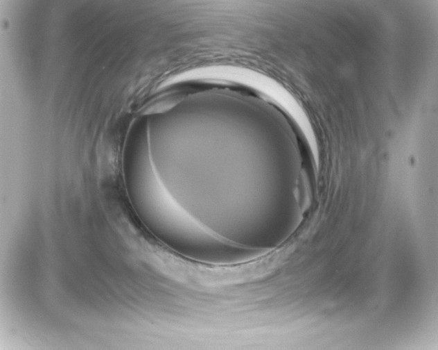 X0000081590039200701221104