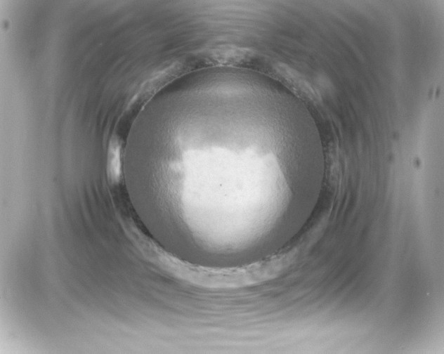 X0000081590042200701221104