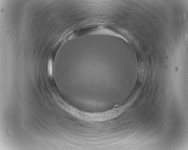 X0000081590046200701221104