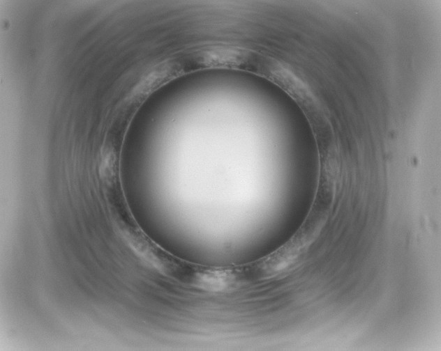 X0000081590079200701221103