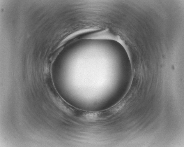 X0000081590084200701221103