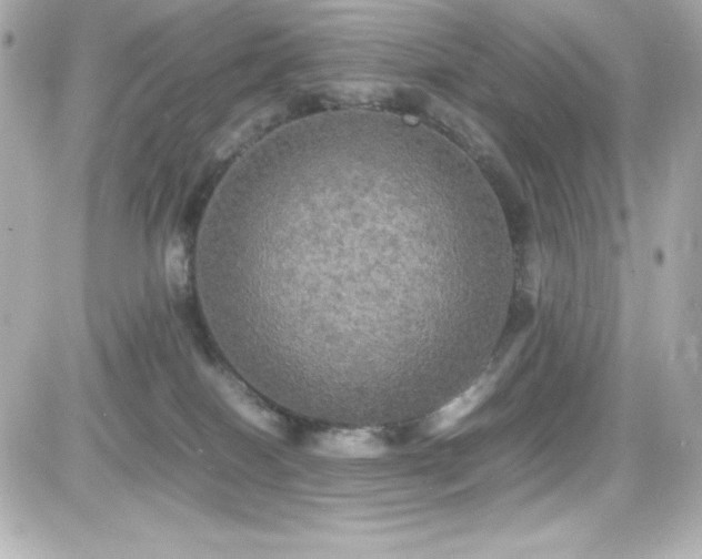 X0000081590086200701221103