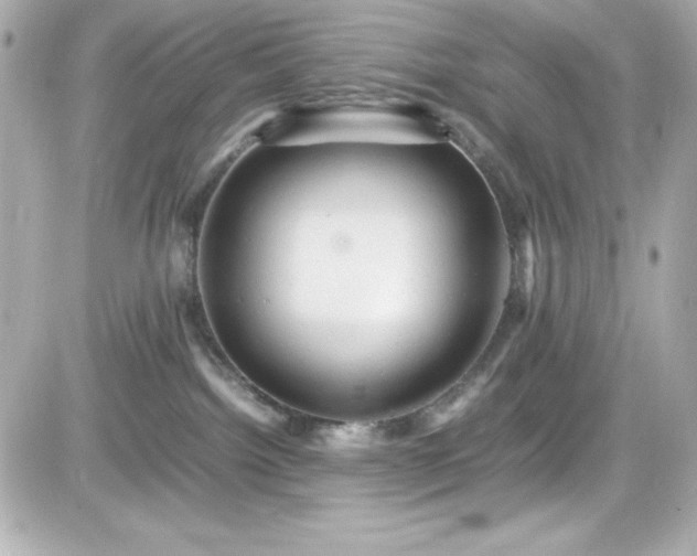 X0000081590092200701221104
