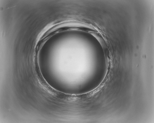 X0000081590152200701221101