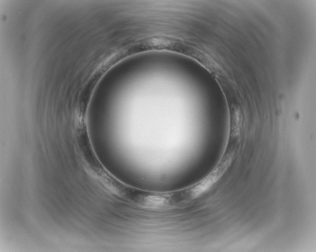 X0000081590176200701221102